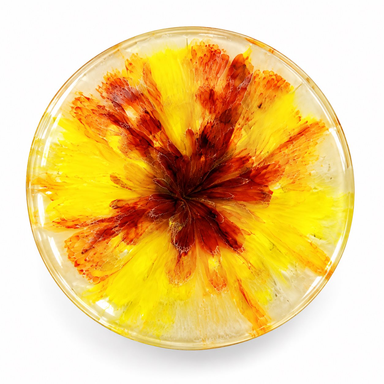 Resin Luxury Tea Coaster (6 Pcs) Rs.799