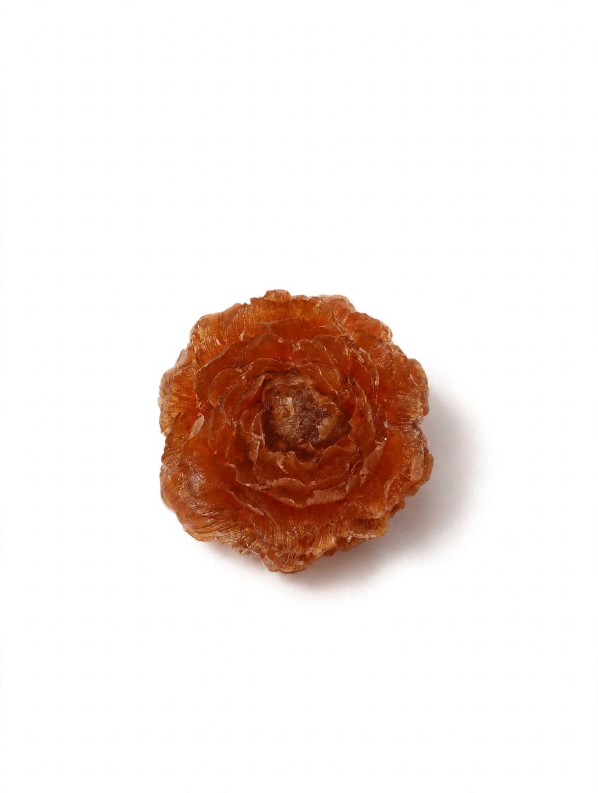 Fridge magnet Rs.99