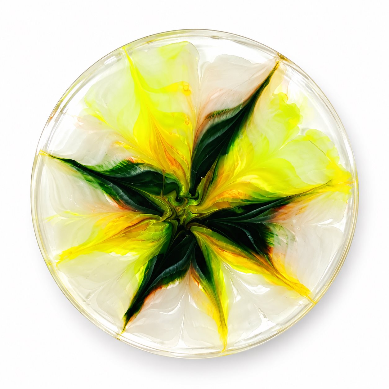 Resin Luxury Tea Coaster (6 Pcs) Rs.799